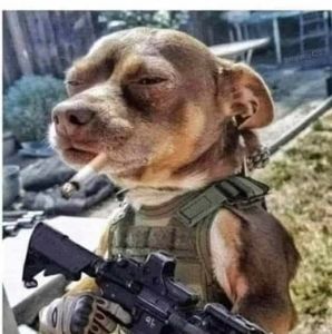 Meet your Posher, Marcus